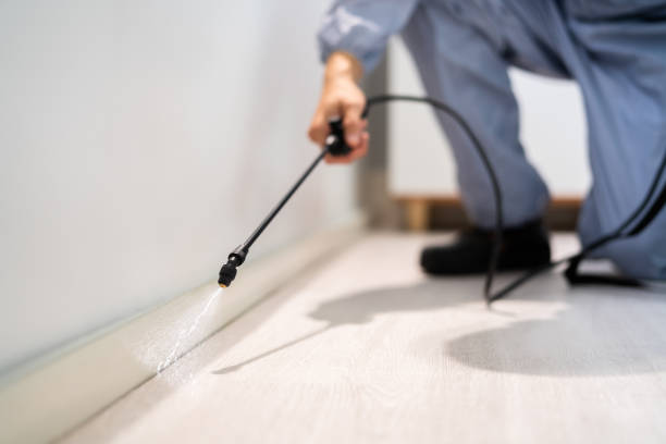 Licensed Cockroach Control service in Morrow County County, OH - Nex Pest Control